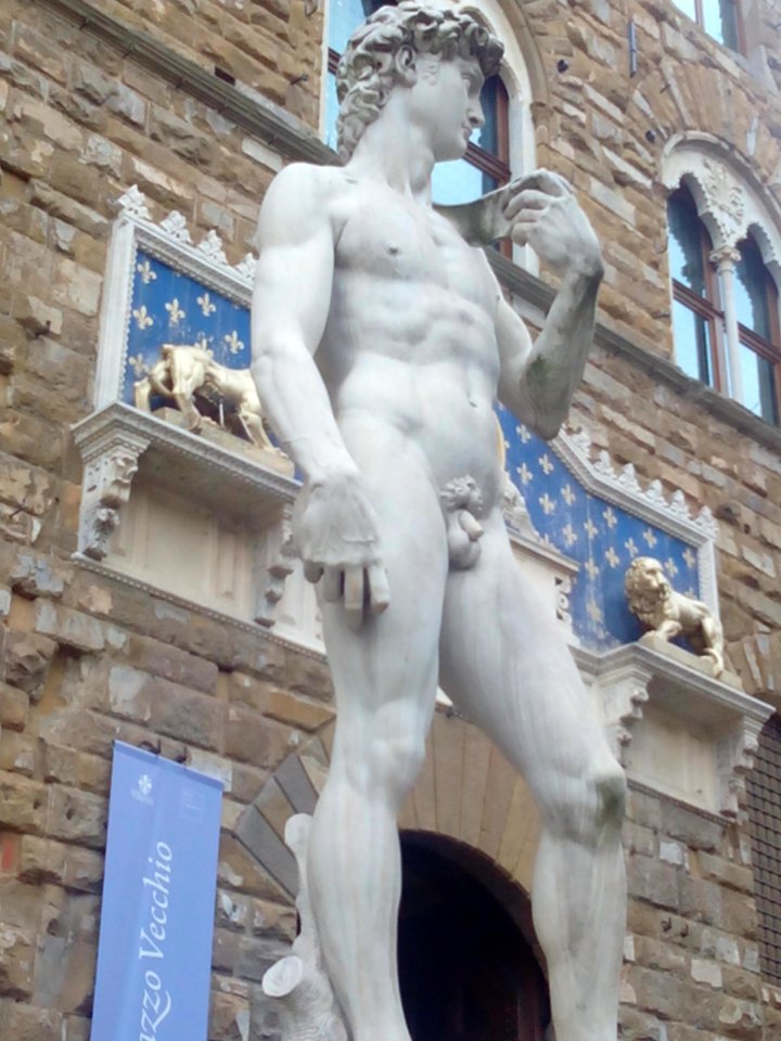 IMG 20141222 101623