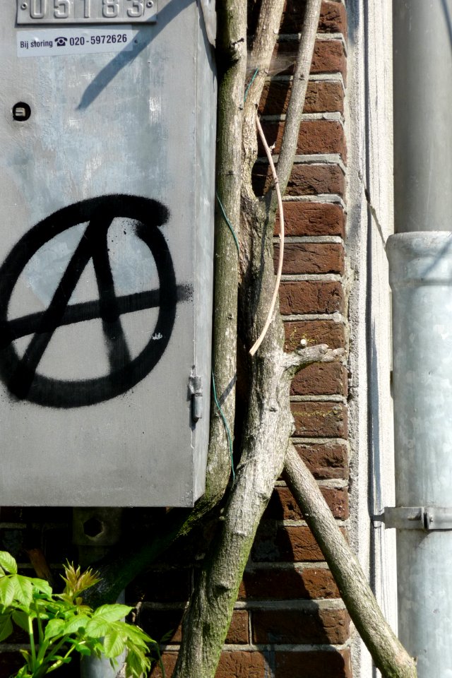 2011.04 - 'Photo of an urban collage or assemblage, made from graffiti', and an electricity-box, branches ,pipe and brick wall, in sun-light of Spring, in the streets of Amsterdam city; urban photography by Fons Heijnsbroek, The Netherlands, geotag