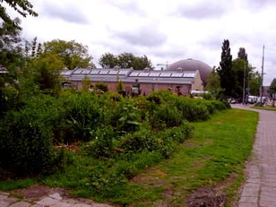 2013.06 - 'city guerrilla-garden and view on Artis Zoo', and the Planetarium dome on the Plantage Kerklaan; photo Amsterdam city in Summer; photographer Fons Heijnsbroek