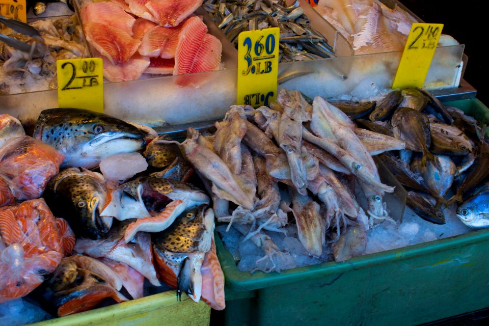 Fish in China Town