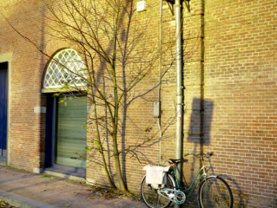 Sunlight and shadows of a tiny tree in Fall on a brick wall of Entrepotdok-buildings, Amsterdam city, along the canal Entrepotdok; on the border of the old city center of Amsterdam; urban photography, Fons Heijnsbroek 2013 photo