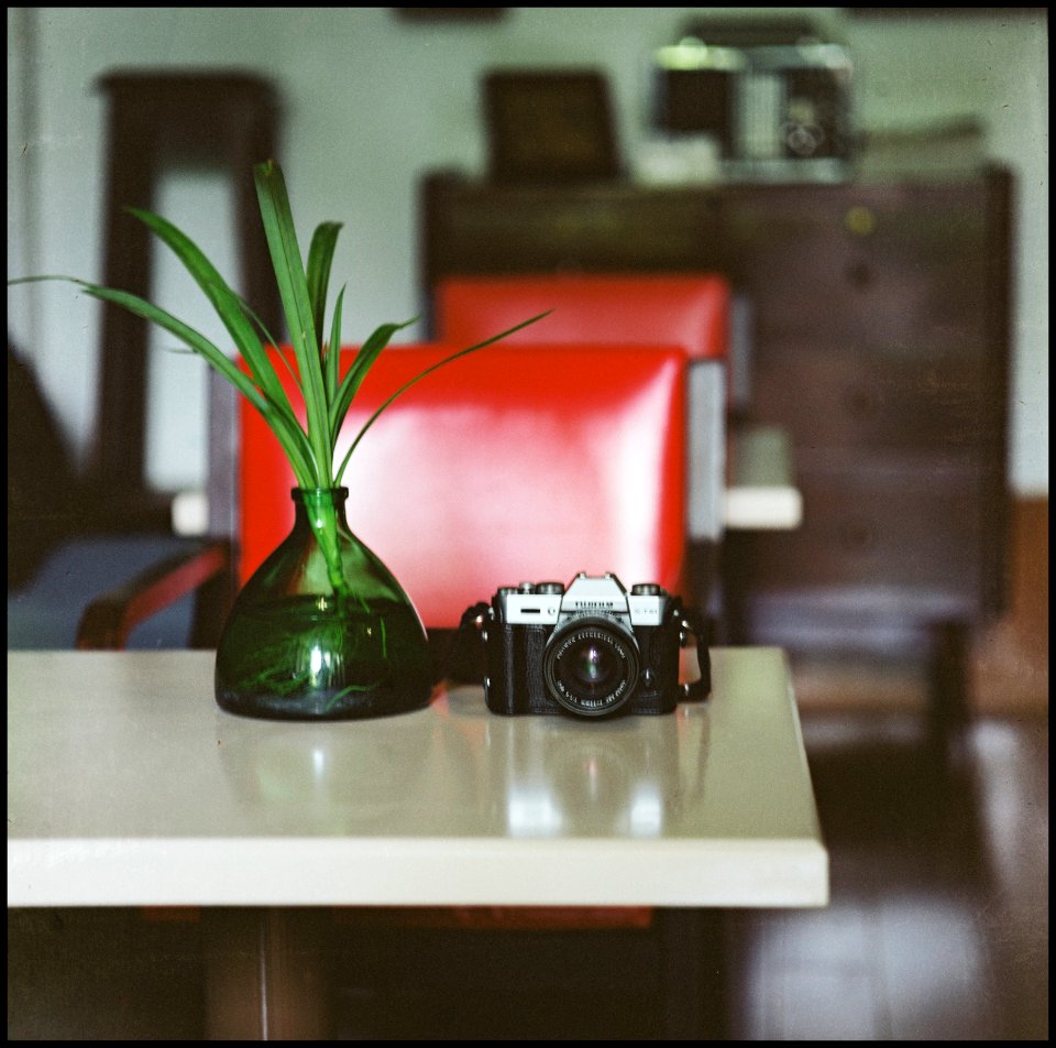 Sunny's Fuji X-T10 camera
