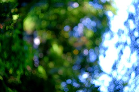 Bokeh with Helios Lens.