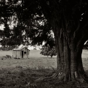 Shepherds Hut, Wilsons Cutting