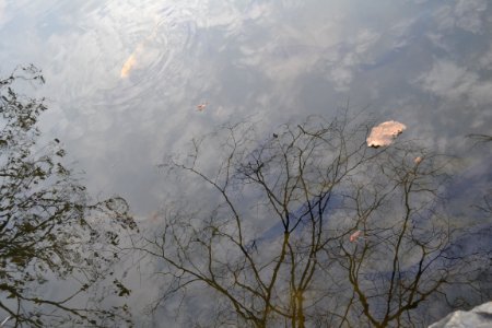 seoul flickr (67)