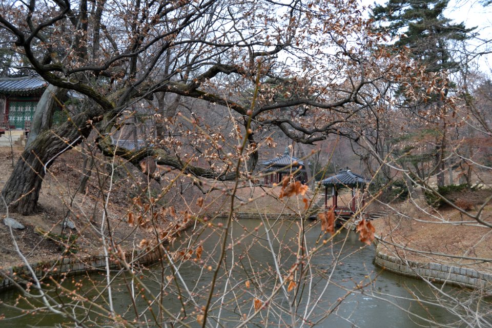 seoul flickr (42)