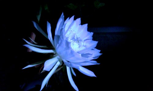 WP 20150605 004