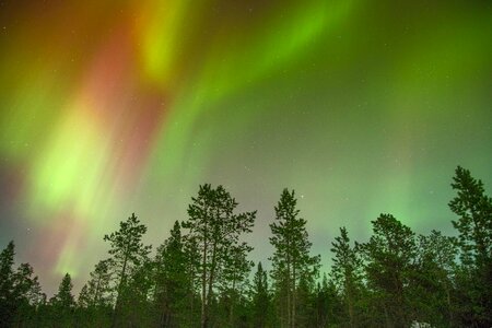 Borealis lights landscape photo