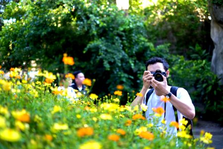 Over the flowers
