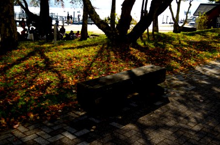  DSC0706