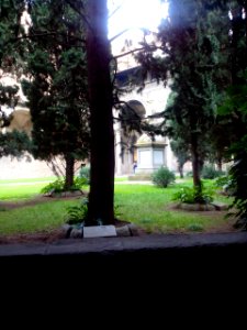 IMG 20141222 124607