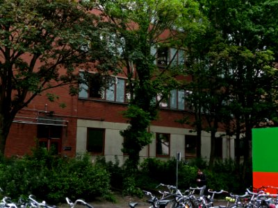 Urban trees  along an office building facade at the campus Roeterseiland in Amsterdam; the university area; urban photography of The Netherlands, Fons Heijnsbroek