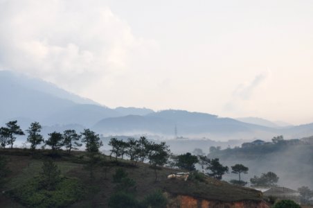 DSC 0327
