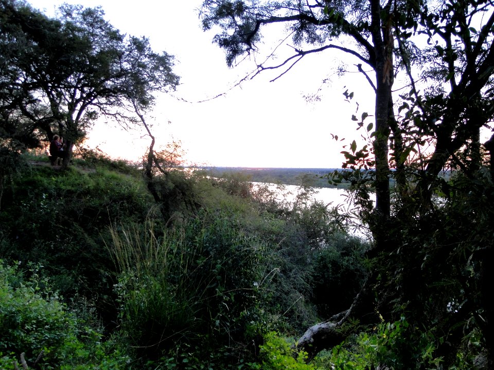 Una dianoche en Paraná