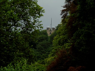 DSC00680