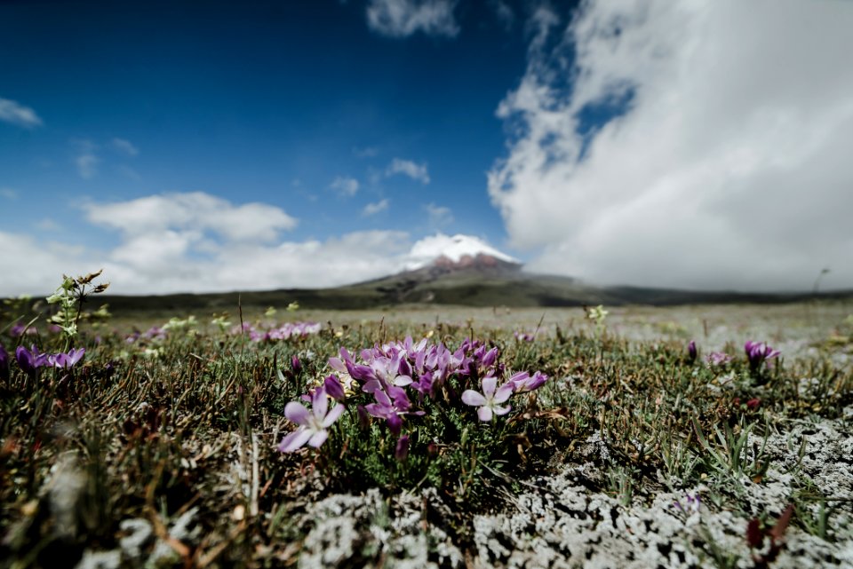 Nevado Cotopaxi - Ecuador