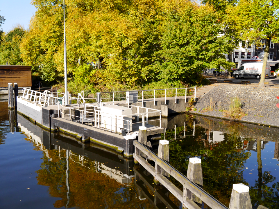 Free photo of Amsterdam: picture of urban trees along the canal-water, seen from the bridge, photography The Netherlands photo