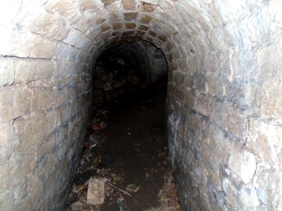 DSC00745