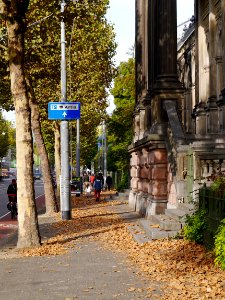 Free photo of Amsterdam city - free picture of a view along Artis Zoo with urban trees in Autumn, by Fons Heijnsbroek photo