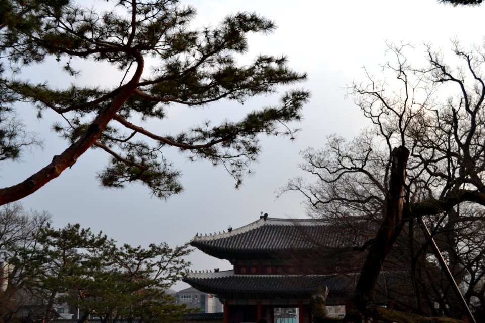 seoul flickr (57)