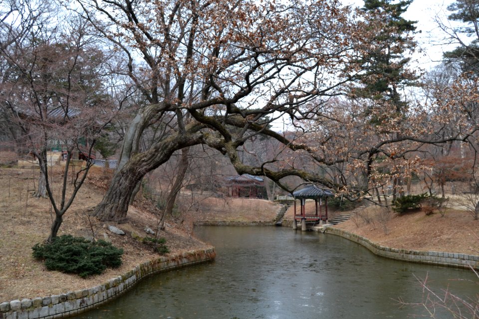 seoul flickr (41)