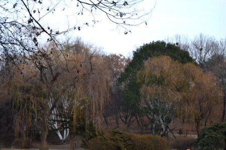 seoul flickr (62)