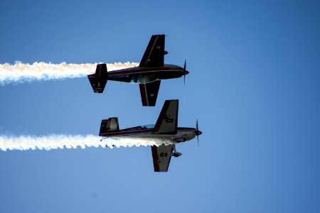 Halcones FACh