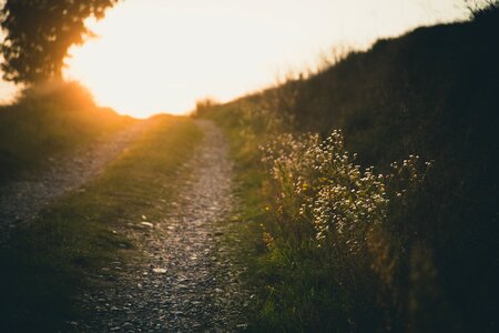 Walkway gravel evening photo