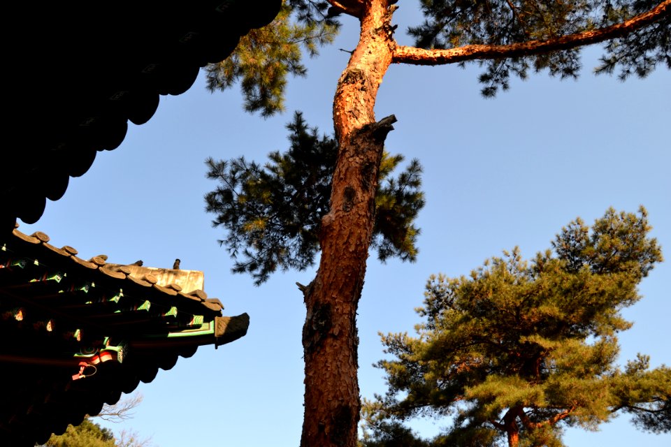 seoul flickr (13)