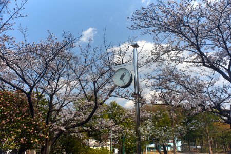 昼の公園