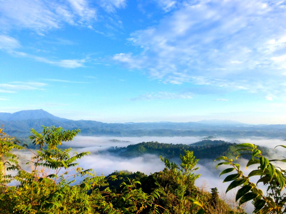Smartphonegraphy with my iPhone. 😊 This morning hiking at Bukit Panorama Kuantan Pahang Malaysia .. Not to lucky cause I'm late to peak.. It's okay. Not today, maybe next time with my dslr. ✌️