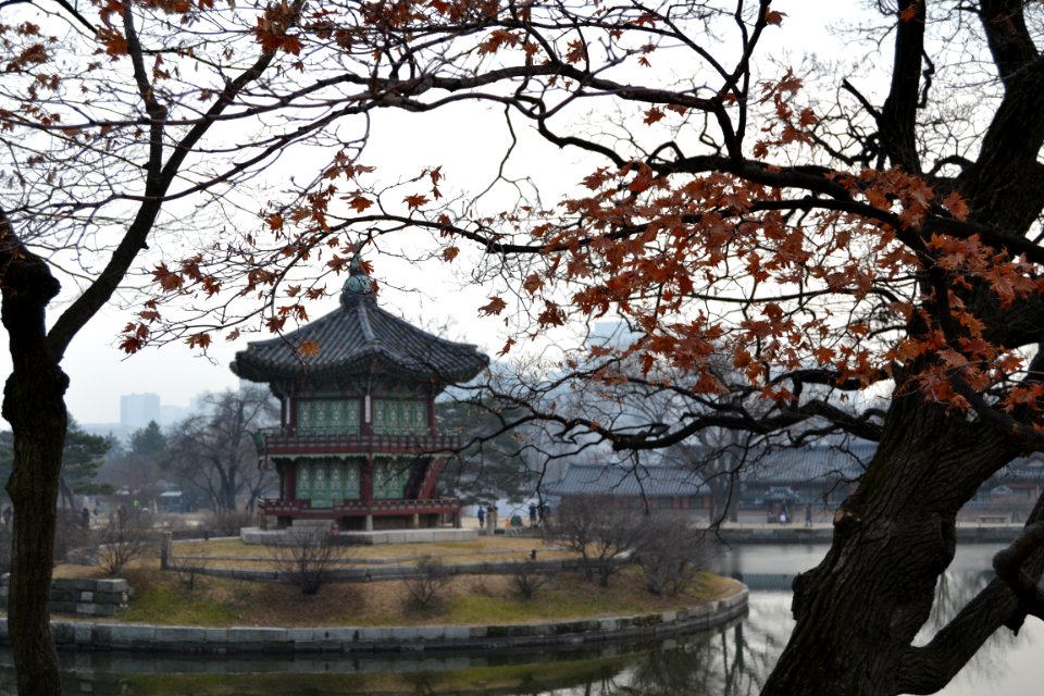 seoul flickr (111)