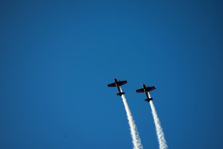 Halcones FACh