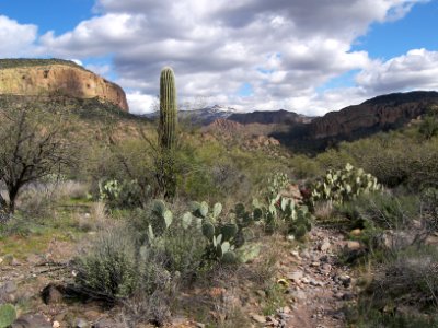 Superstition Wilderness