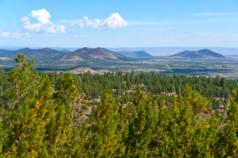 San Francisco Volcanic Field