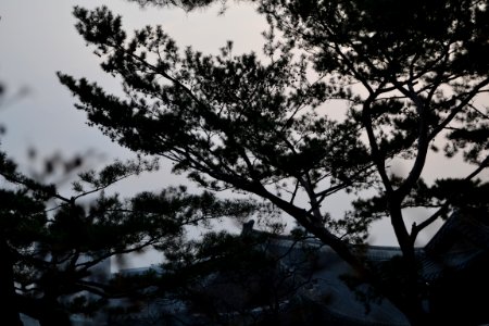 seoul flickr (121)