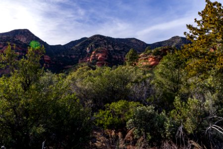 Loy Canyon Trail