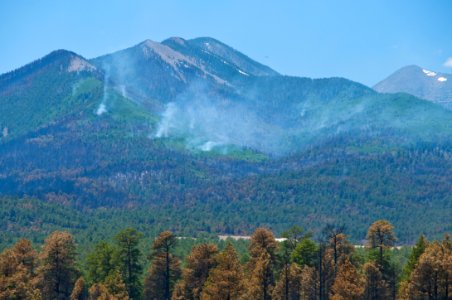 Schultz Fire