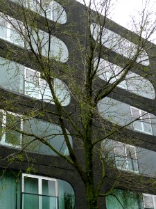 2013.04 - 'Street-view with trees in Spring', and a rainy gray sky above the city, reflecting in the windows; in the Sarphatistraat, near university Roeterseiland - city center of Amsterdam; - urban photography by Fons Heijnsbroek, the Netherlands photo
