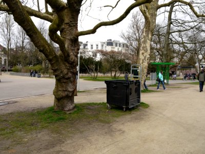 2016.04 - Amsterdam urban nature photo of a naked trees in the park Vondelpark - geotagged free urban picture, in public domain / Commons; photography, Fons Heijnsbroek