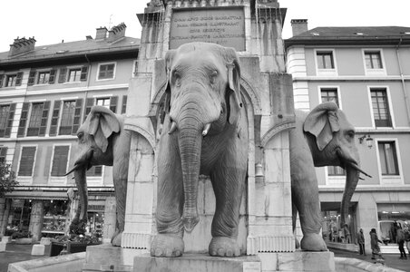 Elephants chambery black white