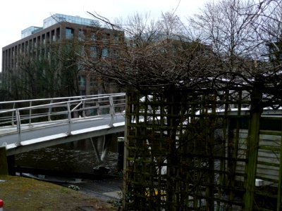2013.04 - 'A metal-bowed bridge between branches and trees', in Amsterdam, urban photography by Fons Heijnsbroek, The Netherlands photo
