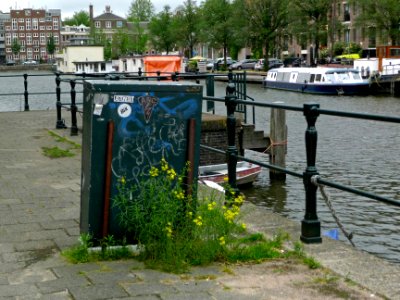 2013.06 - 'Urban flowers along the Entrepotdok canal, near Artis Zoo, with a view on the Nieuwe Herengracht; photo Amsterdam city, in Summer; urban  photography Fons Heijnsbroek