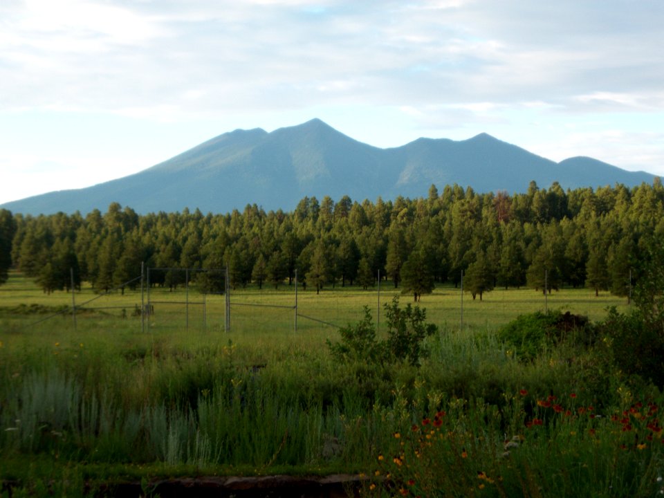 The Arboretum at Flagstaff
