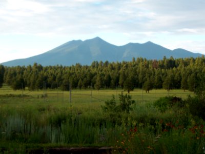 The Arboretum at Flagstaff photo