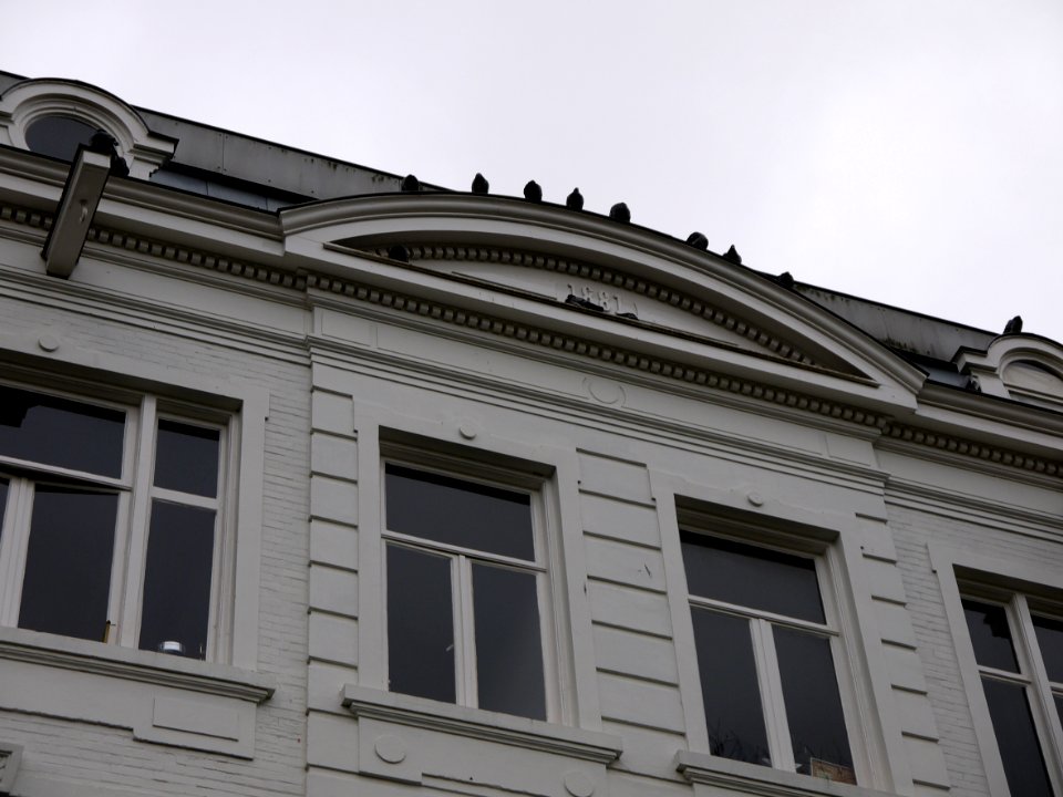 2014.01 - Amsterdam photo, A classical architecture facade with roof-decoration of a row of voluntary pigeons; a geotagged free urban picture, in public domain / Commons CCO;  city photography by Fons Heijnsbroek, The Netherlands