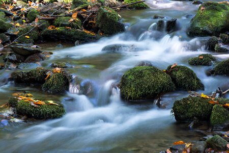 Creek moss stones photo