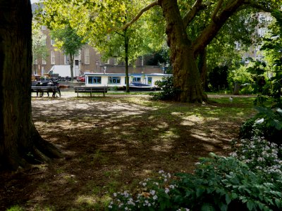 Free photo of Amsterdam: picture of a small urban park with sunlight and shadows and old plane trees photo