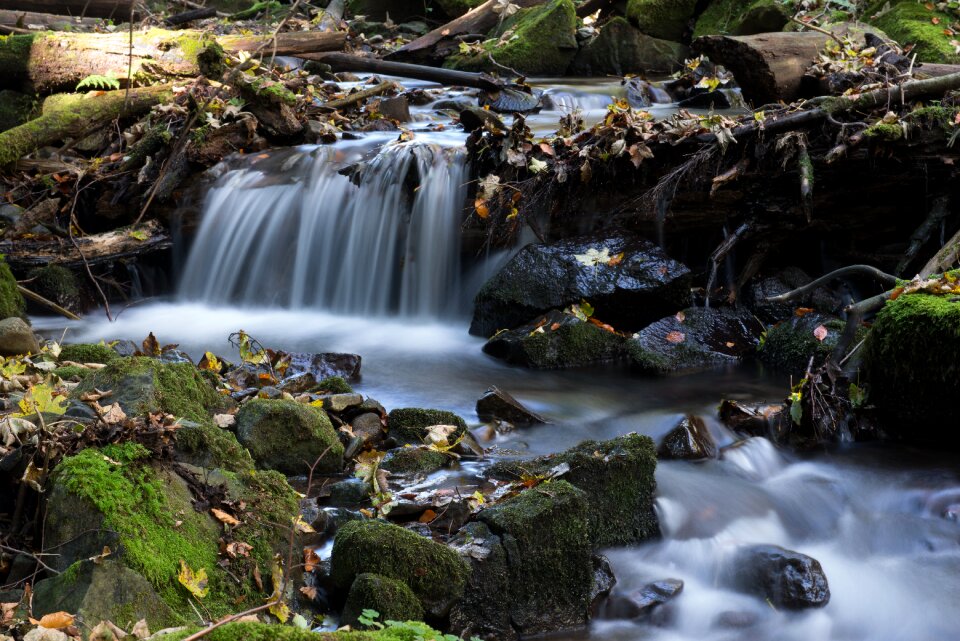 Creek moss stones