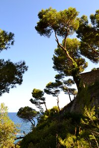 Side mediterranean spain